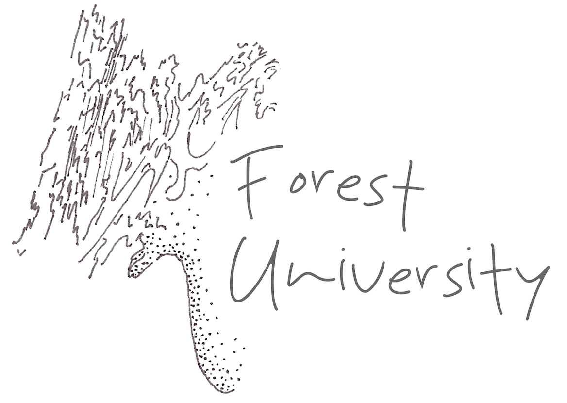 Šumski univerzitet – Forest University